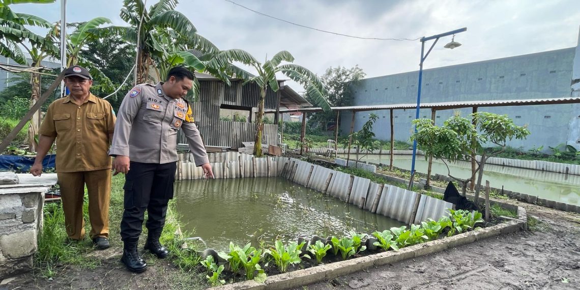 Bhabinkamtibmas Desa Bangah, Kelompok Tani dan Karang Taruna Turun Bareng ke Green House Ketahanan Pangan