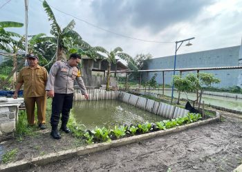 Bhabinkamtibmas Desa Bangah, Kelompok Tani dan Karang Taruna Turun Bareng ke Green House Ketahanan Pangan