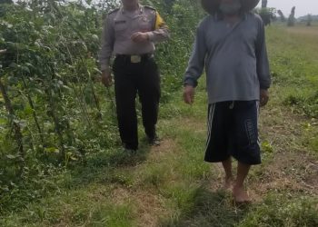 Bhabinkamtibmas Kedungboto Implementasikan Ketahanan Pangan di Tingkat Desa