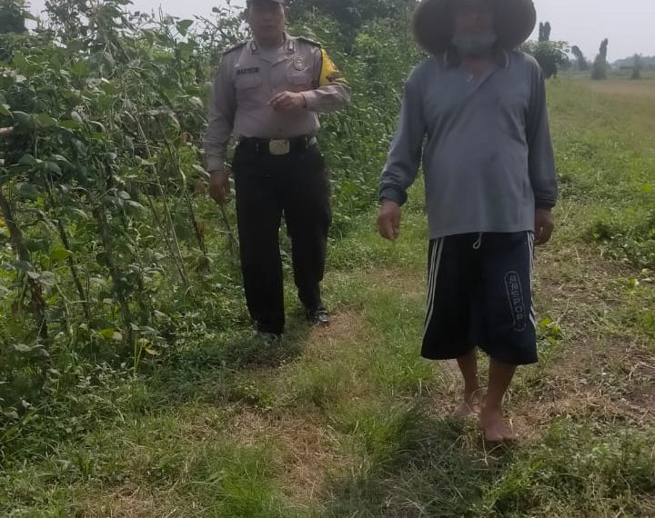 Bhabinkamtibmas Kedungboto Implementasikan Ketahanan Pangan di Tingkat Desa