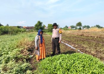 Polsek Balongbendo Patroli Ketahanan Pangan, Ajak Petani Dukung Program Asta Cita Presiden