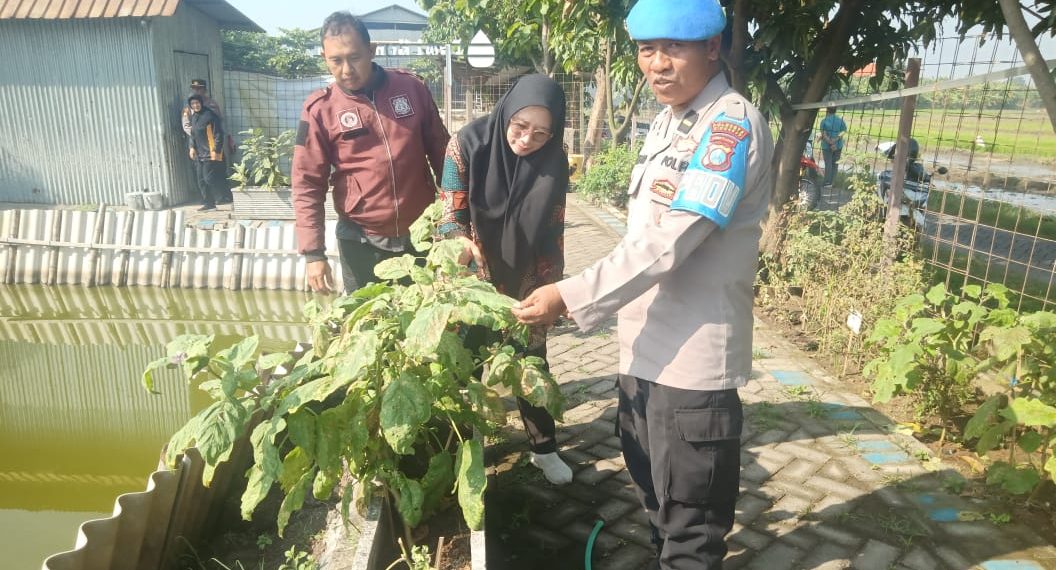 Bhabinkamtibmas Bersama Perangkat Desa Sidorejo Tinjau Program Ketahanan Pangan di Lahan Desa