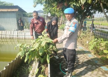 Bhabinkamtibmas Bersama Perangkat Desa Sidorejo Tinjau Program Ketahanan Pangan di Lahan Desa