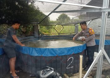 Bhabinkamtibmas Banjarsari Polsek Buduran Dukung Peternak Lele