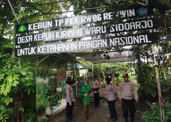Rumah Benih P2L di Desa Kepuh Kiriman Jadi Contoh Swasembada Pangan Mandiri