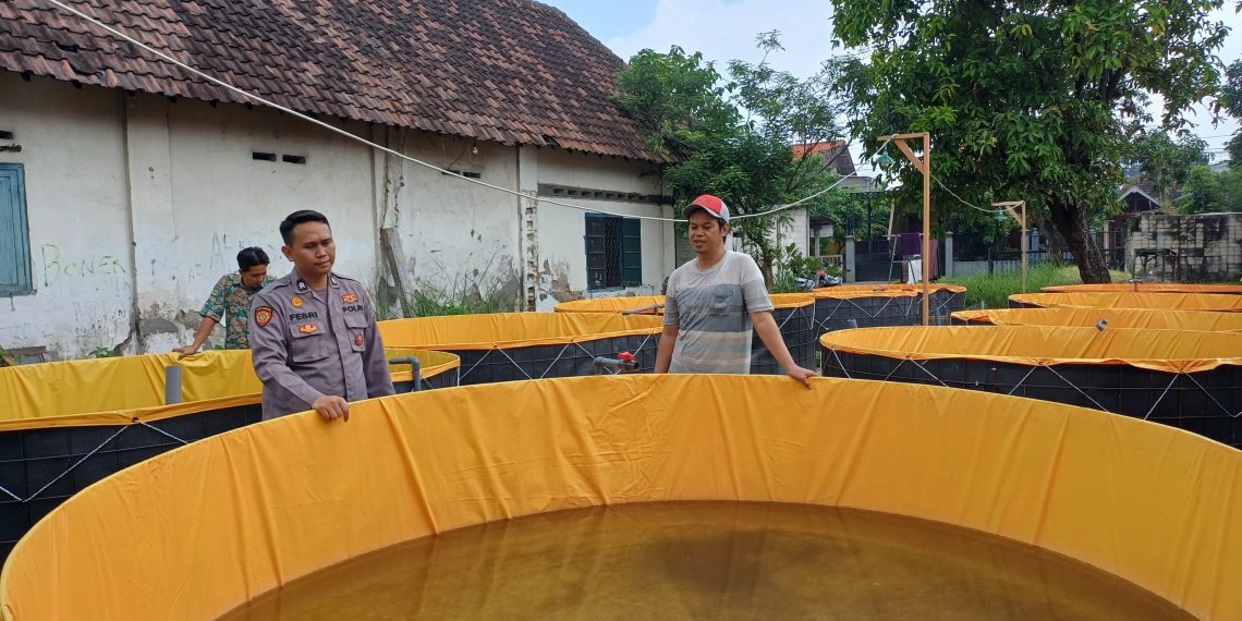 Bhabinkamtibmas Apresiasi Warga Budidaya Lele Sistem Bioflok di Pekarangan Rumah