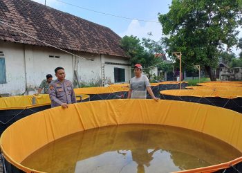 Bhabinkamtibmas Apresiasi Warga Budidaya Lele Sistem Bioflok di Pekarangan Rumah