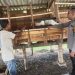 Cegah Penyakit Ternak, Bhabinkamtibmas Sidokepung Aktif Pantau Kesehatan Kambing WargaUpay