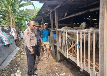 Jelang Idul Adha, Polisi di Sidoarjo Tinjau Persiapan Hewan Kurban Bergizi