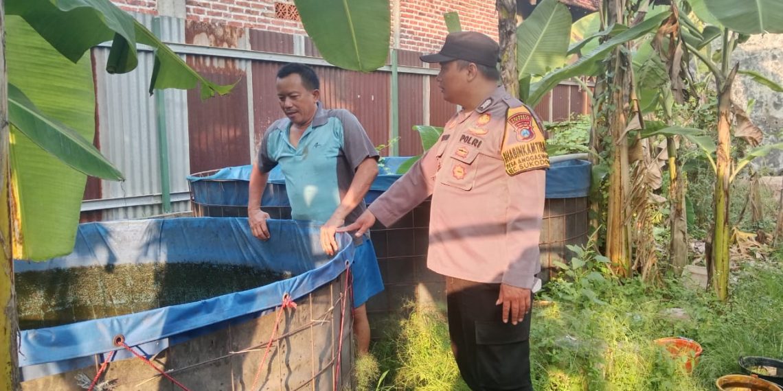 Bhabinkamtibmas Polsek Sukodono Cek Lahan P2B untuk Dukung Swasembada Pangan Warga