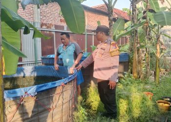Bhabinkamtibmas Polsek Sukodono Cek Lahan P2B untuk Dukung Swasembada Pangan Warga