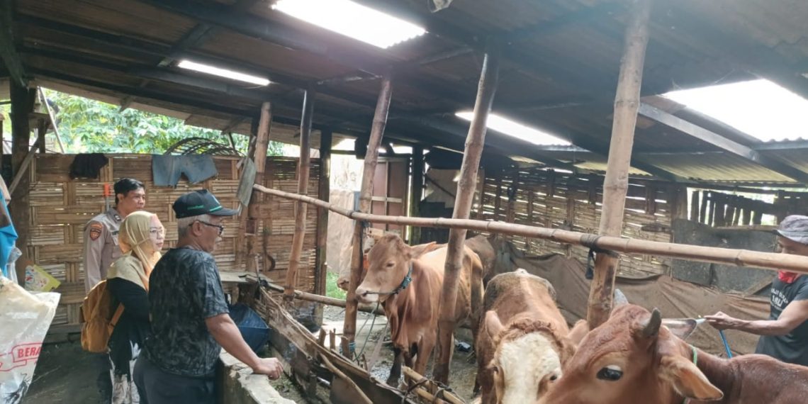 Bhabinkamtibmas Desa Kedensari Dukung Ketahanan Pangan Petani Hewani