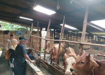Bhabinkamtibmas Desa Kedensari Dukung Ketahanan Pangan Petani Hewani