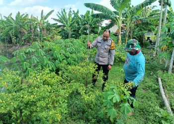 Bhabinkamtibmas Sambangi Petani