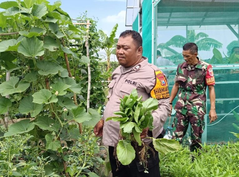 Bhabinkamtibmas Banjarkemantren Panen Sayur Bersama Warga