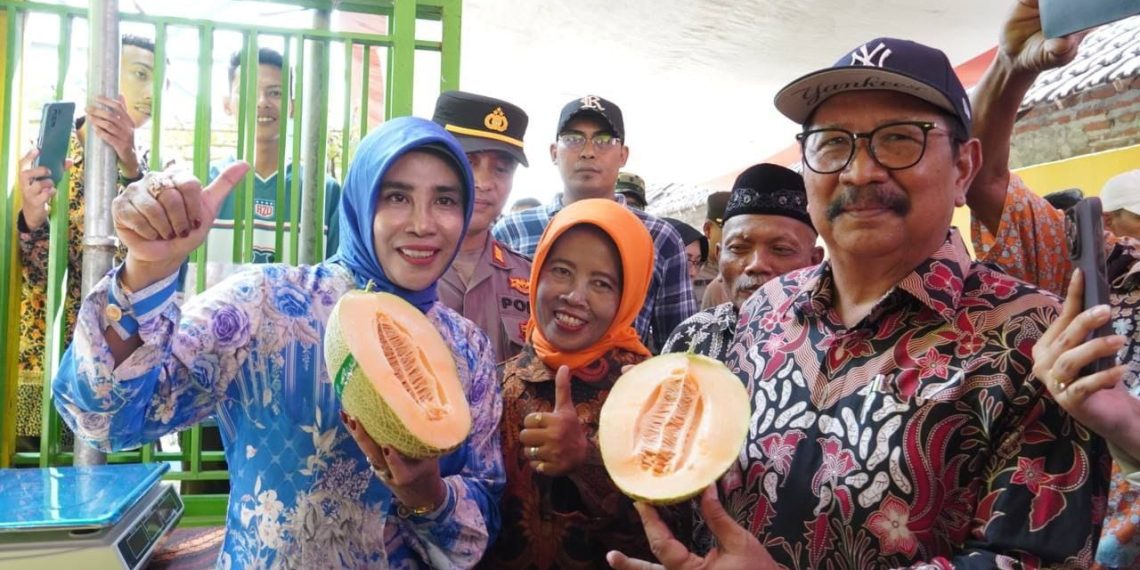 Wabup Sidoarjo Hj Mimik Idayana﻿ Antusias Panen Melon Hidroponik Desa Gempol Klutuk