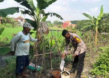Bhabinkamtibmas Semambung Bantu Petani Wujudkan Ketahanan Pangan Polresta Sidoarjo