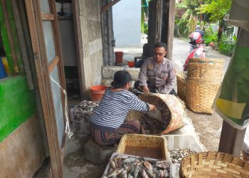 Polisi Sidoarjo Edukasi Petani Tambak Kelola Ikan Mujair