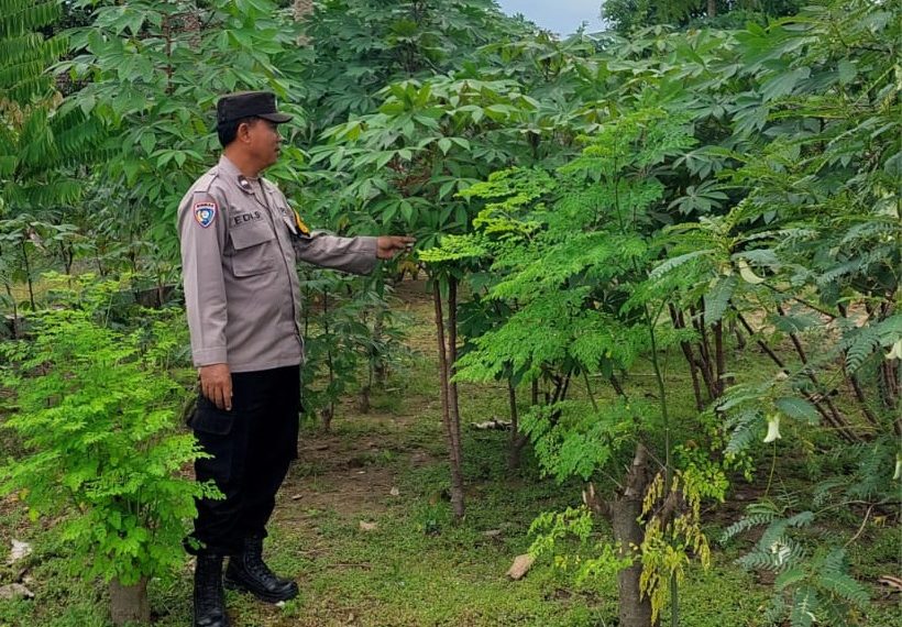 Warga Desa Ketimang Wonoayu Manfaatkan Lahan Kosong