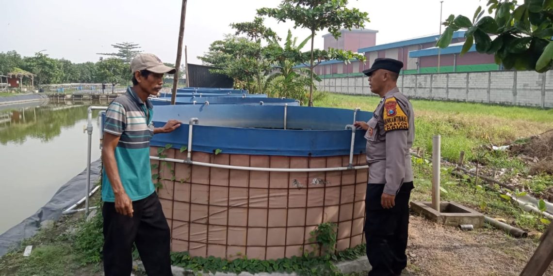Bhabinkamtibmas Polsek Krian Dampingi Warga Budidaya Lele