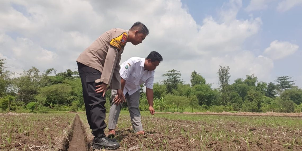 Bhabinkamtibmas Wonokalang Wonoayu Tinjau Lokasi Ketahanan Pangan Warga