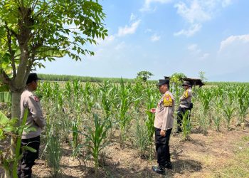 Polisi Cinta Petani, Gencarkan Pendampingan Program Ketahanan Pangan di Kecamatan Krembung