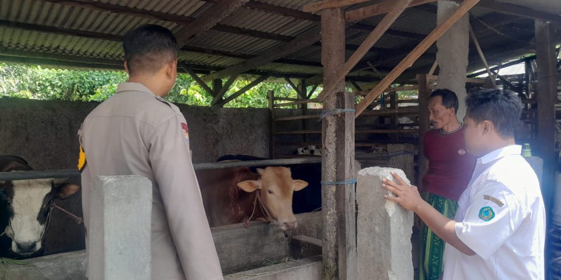 Polisi Himbau Peternak Sapi Perhatikan Kesehatan Hewan