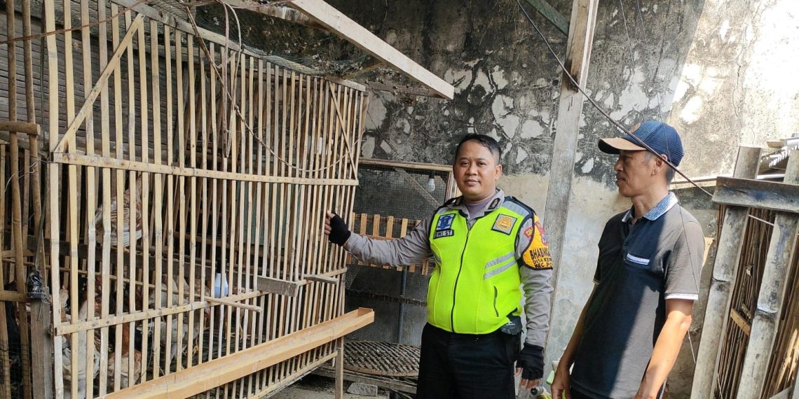 Bhabinkamtibmas Kedungsolo Tinjau Program Ketahanan Pangan Peternakan Ayam