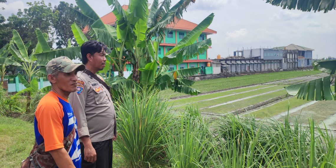 Bhabinkamtibmas Cek Lahan P2B di Desa Ngaban, Dukung Swasembada Pangan