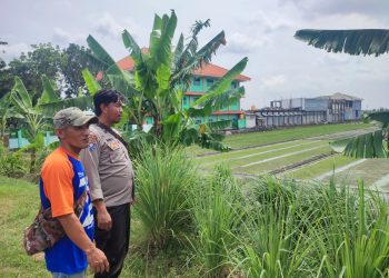 Bhabinkamtibmas Cek Lahan P2B di Desa Ngaban, Dukung Swasembada Pangan