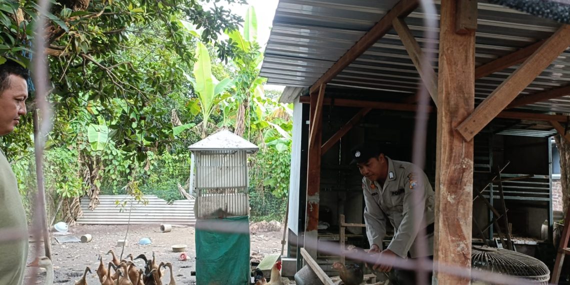 Bhabinkamtibmas Desa Putat Bripka Candra Cek Peternak Bebek, Dukung Swasembada Pangan Sidoarjo
