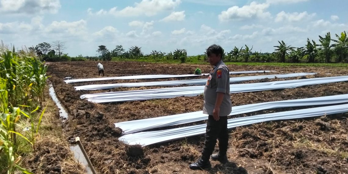 Kanit Binmas Polsek Prambon dan Warga Cek Lahan P2B