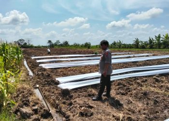 Kanit Binmas Polsek Prambon dan Warga Cek Lahan P2B