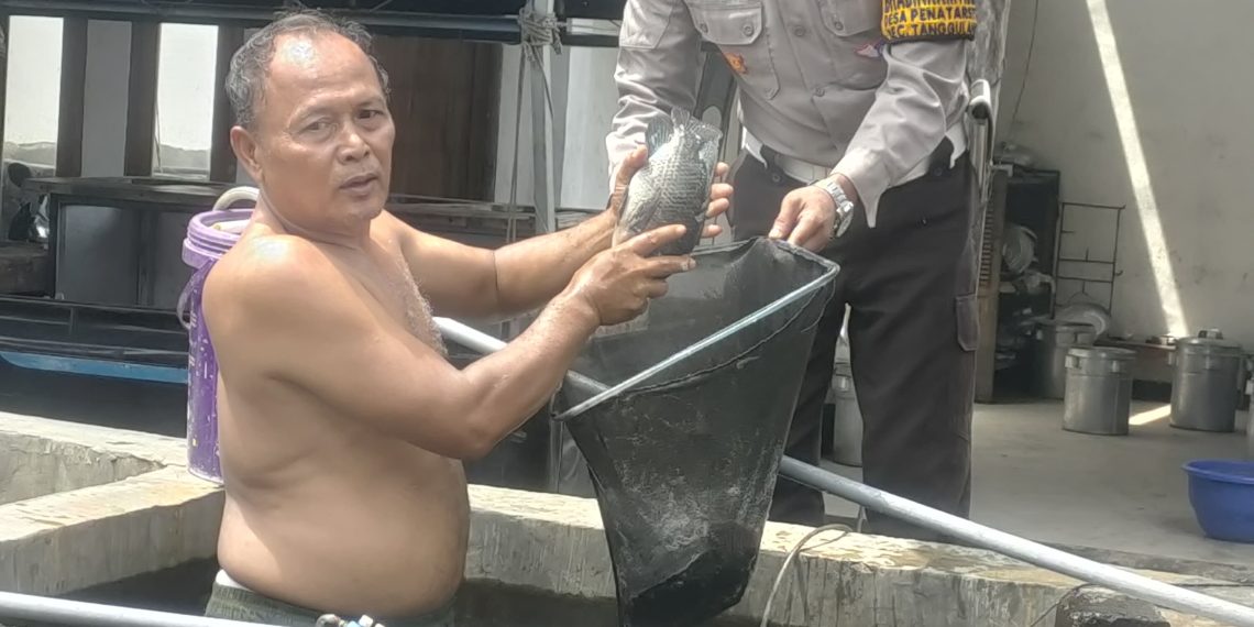 Polsek Tanggulangin Dukung Ketahanan Pangan Melalui Budidaya Ikan Mujair