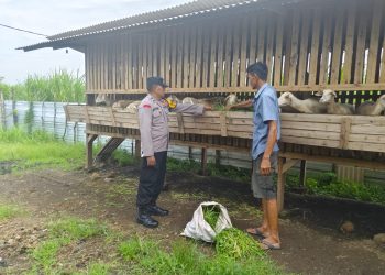 Bhabinkamtibmas Desa Kemantren Tinjau Lahan Peternakan Kambing