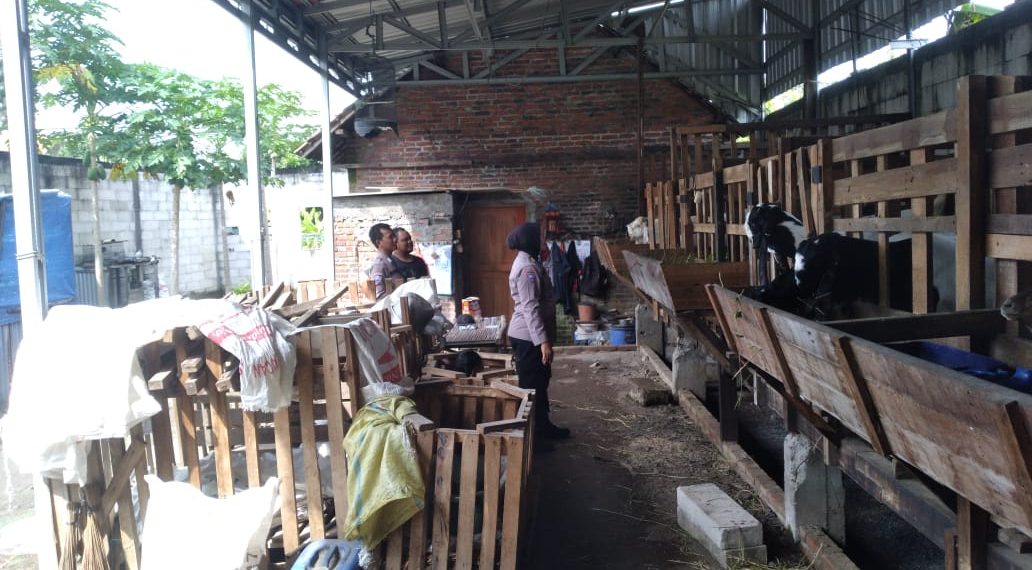 Polsek Gedangan Himbau Peternak Perhatikan Kesehatan Hewan