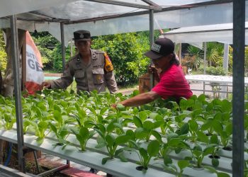 Polsek Candi Motivasi Ketahanan Pangan Lewat Sayur Hidroponik di Desa Gelam