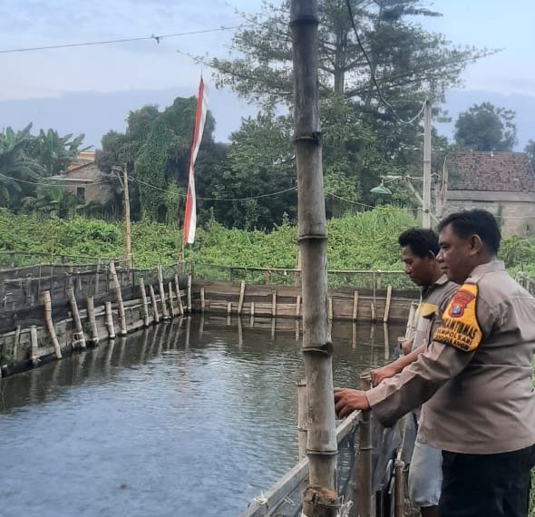 Polsek  Tanggulangin Dukung Ketahanan Pangan Polresta Sidoarjo Melalui Budidaya Ikan