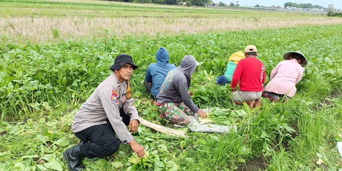 Bhabinkamtibmas Jeruklegi Dorong Warga Manfaatkan Lahan Tidur