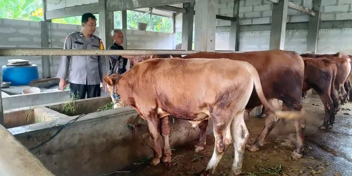 Bhabinkamtibmas dan Perangkat Desa Keboan Anom Tinjau Kondisi Ternak