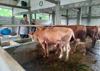 Bhabinkamtibmas dan Perangkat Desa Keboan Anom Tinjau Kondisi Ternak