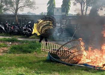 Polisi Bongkar Arena Judi Sabung Ayam di TPS Ngaglik Sidoarjo