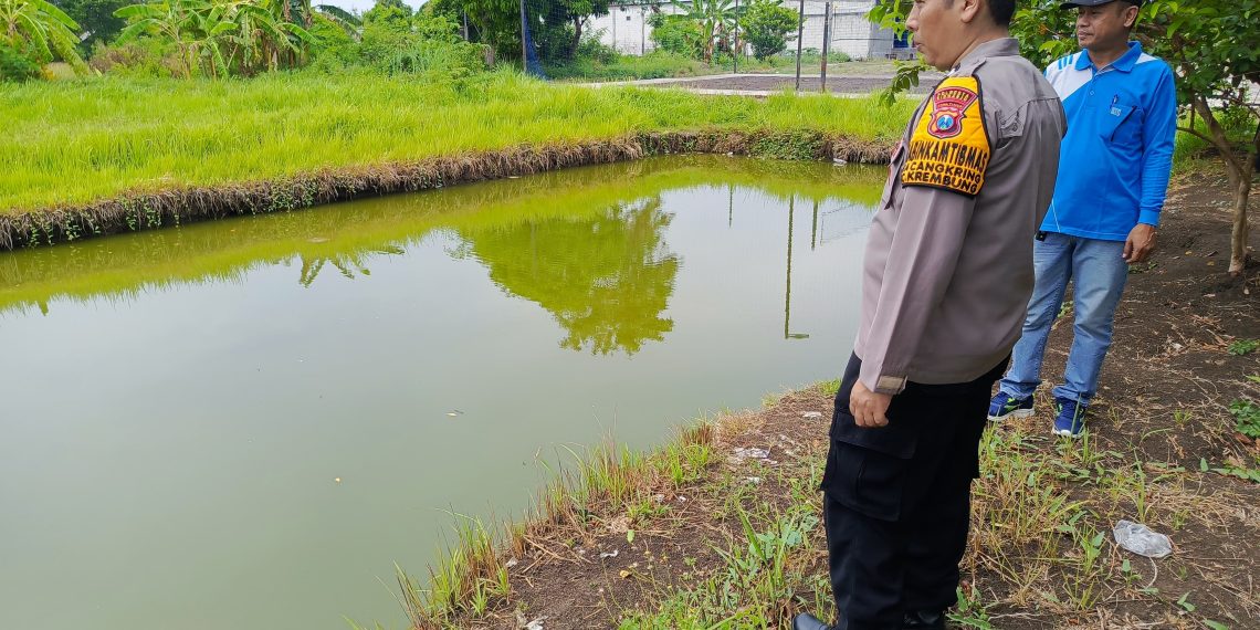 Polsek Krembung Dukung Program Ketahanan Pangan Bergizi nasional melalui Budidaya Lele di Desa Cangkring