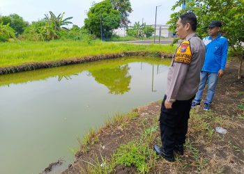 Polsek Krembung Dukung Program Ketahanan Pangan Bergizi nasional melalui Budidaya Lele di Desa Cangkring
