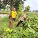 Kanit Binmas Sektor Prambon Dukung Ketahanan Pangan Gelorakan Tanam Sayur Terong