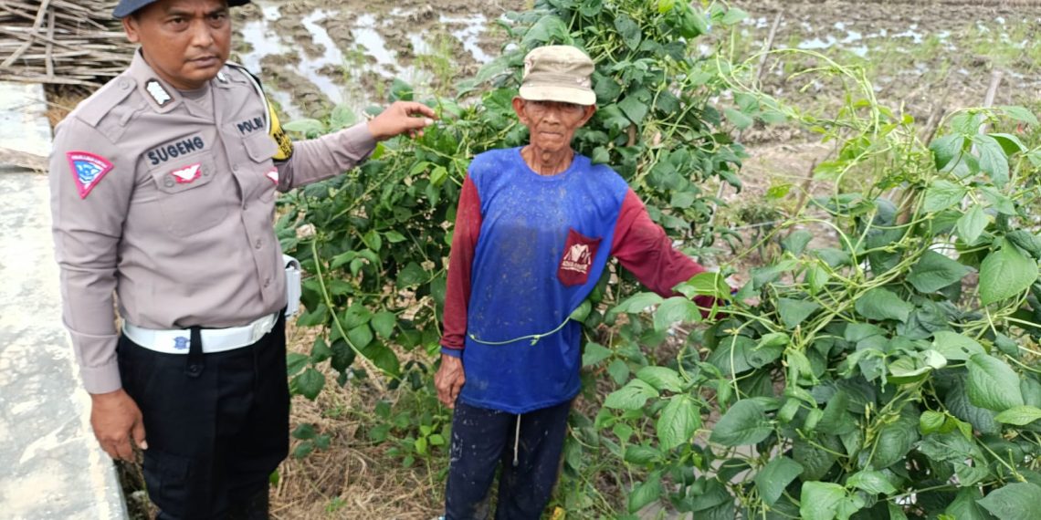 Polsek Balongbendo Dorong Ketahanan Pangan Lewat Pemanfaatan Pekarangan Tidur