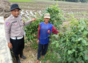 Polsek Balongbendo Dorong Ketahanan Pangan Lewat Pemanfaatan Pekarangan Tidur