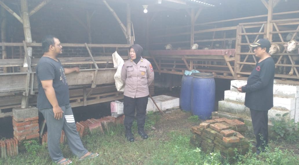 Jelang Idul Adha, Polsek Gedangan Bersama Perangkat Desa Ganting Lakukan Pengecekan Kesehatan Hewan Ternak