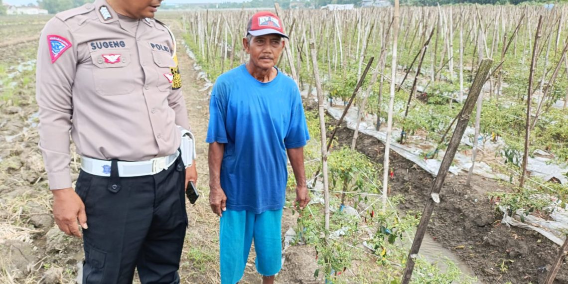 Kembangkan Tanaman Hortikultura di Lahan P2B Desa Wonokupang Balongbendo