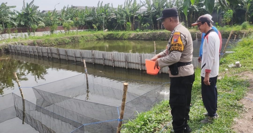 Manfaatkan Fasum untuk Budidaya Lele, Warga Keboharan Dapat Apresiasi dari Bhabinkamtibmas